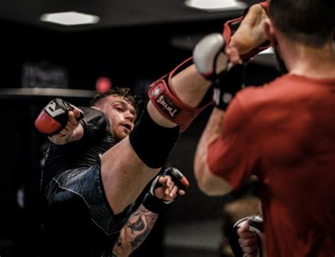 ko vs tko ufc|TKO v KO .